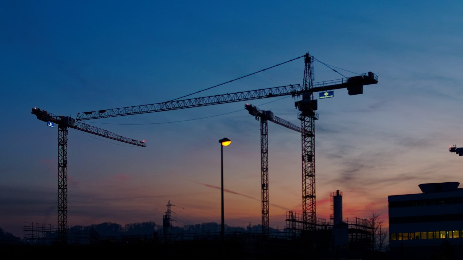 a group of cranes are silhouetted against the evening sky